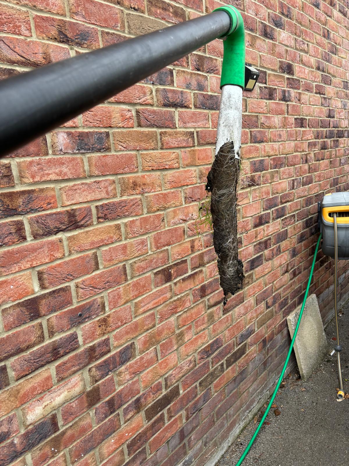 Gutter vac pole pulling a long compacted plug of moss and debris out of a downpipe