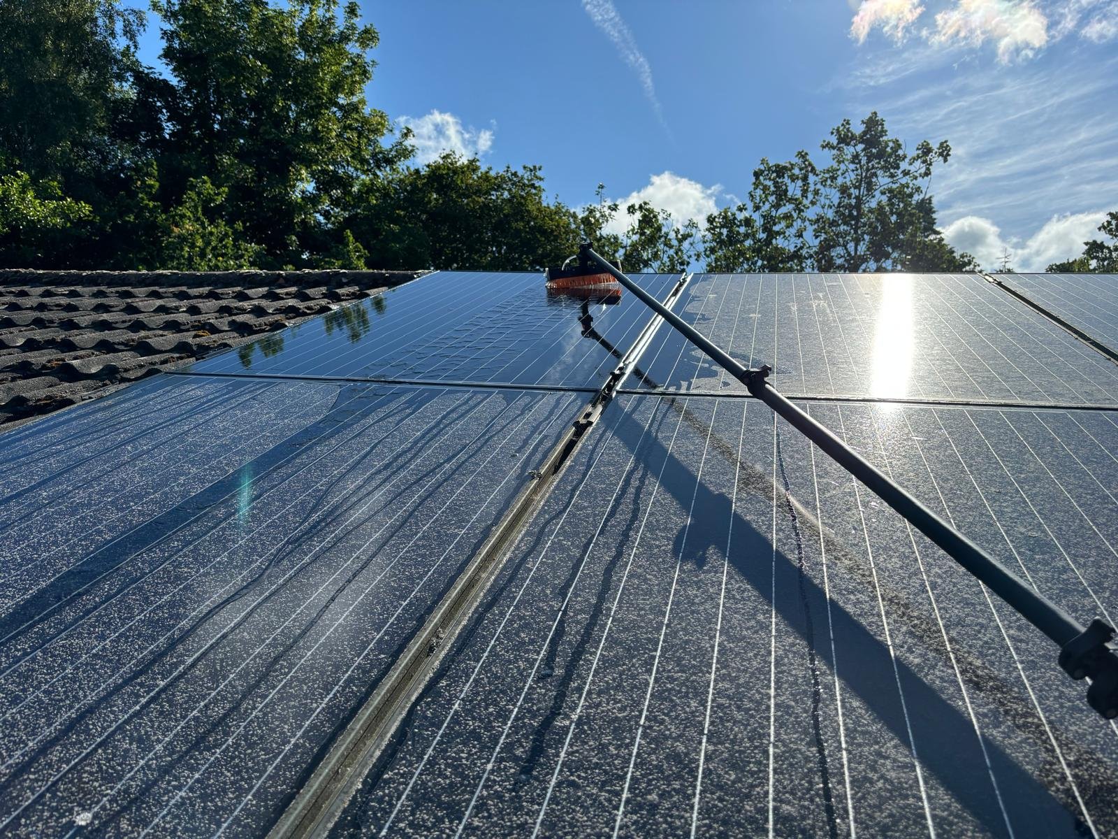 Water-fed pole cleaning solar panels in Dorset